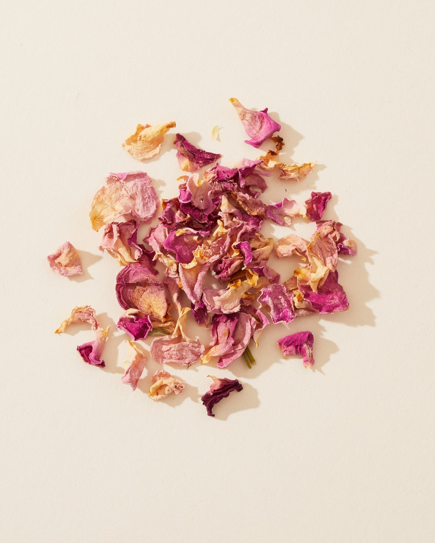 rosebuds & pink petals