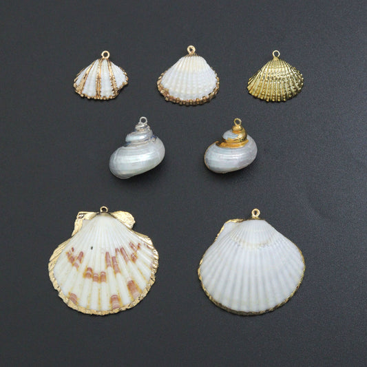 Associated Natural Seashell Pendant charm, Gold Trim Shell pendant charm, Assorted Seashells, Sku#EF823
