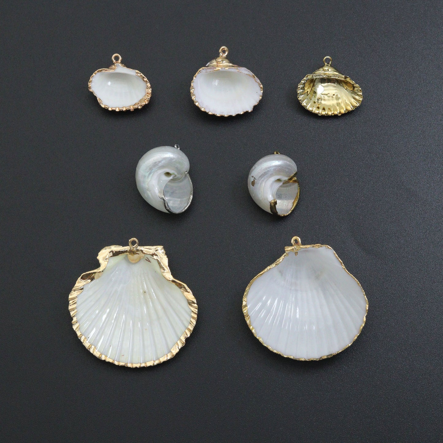 Associated Natural Seashell Pendant charm, Gold Trim Shell pendant charm, Assorted Seashells, Sku#EF823