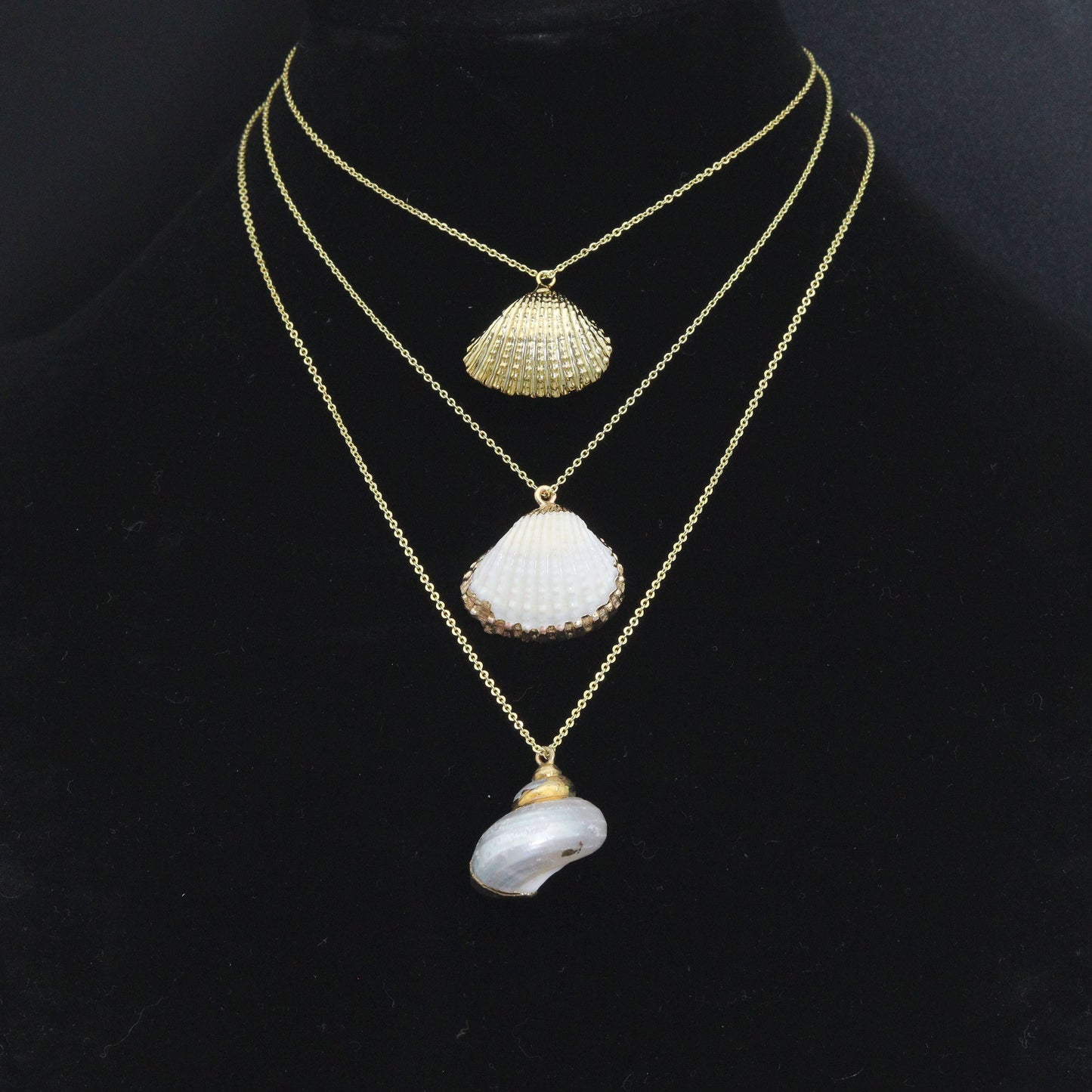 Associated Natural Seashell Pendant charm, Gold Trim Shell pendant charm, Assorted Seashells, Sku#EF823