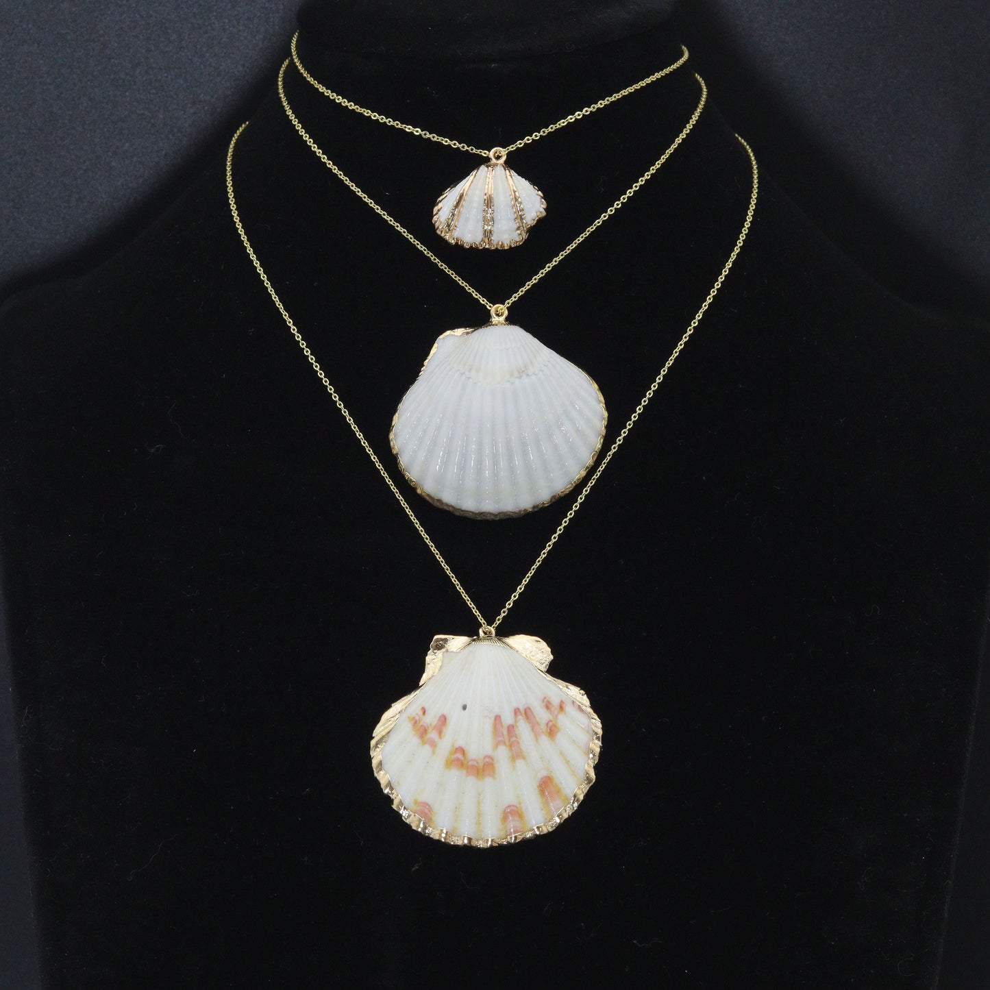 Associated Natural Seashell Pendant charm, Gold Trim Shell pendant charm, Assorted Seashells, Sku#EF823