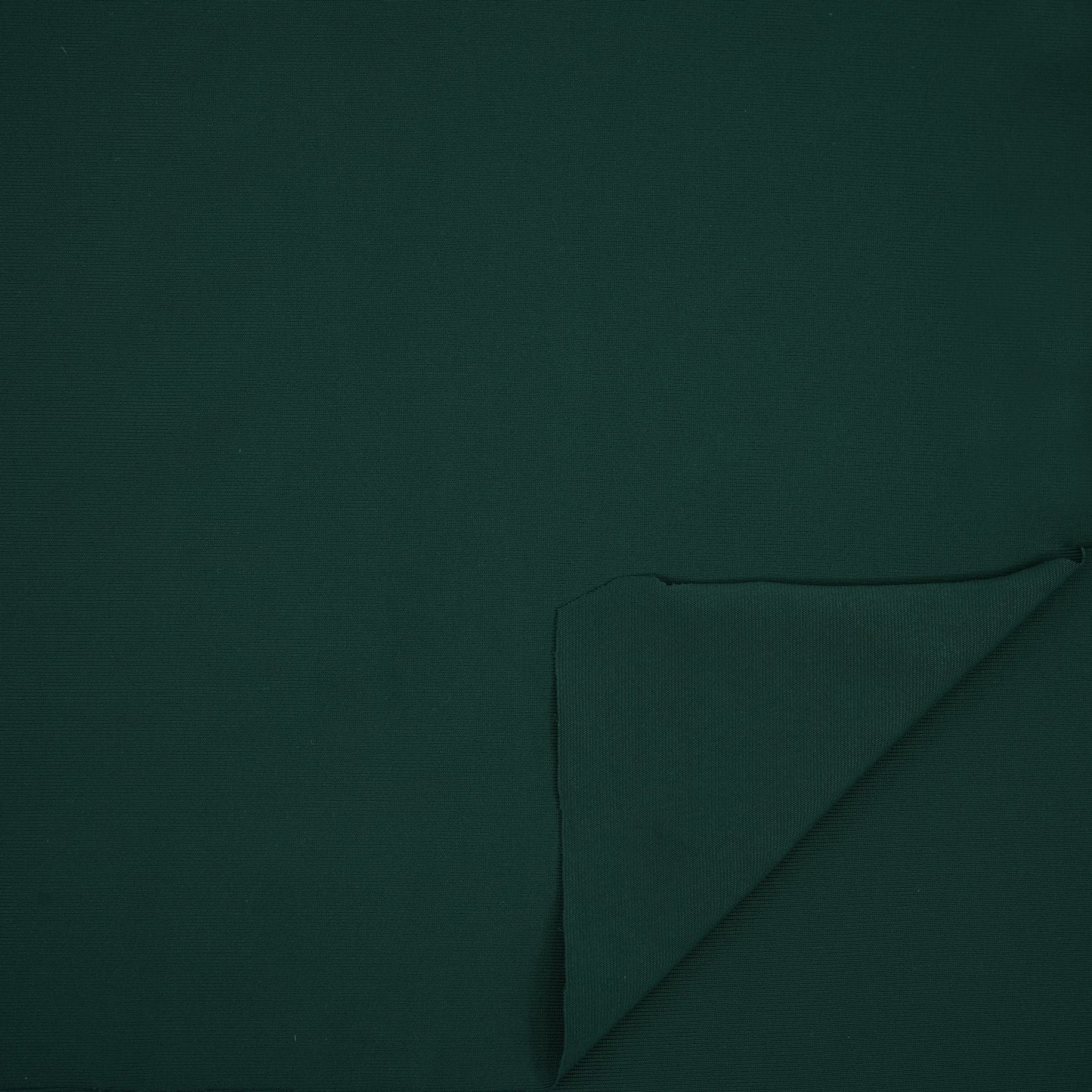 Feather Microfiber Nylon Spandex Jersey Fabric | Blue Moon Fabrics