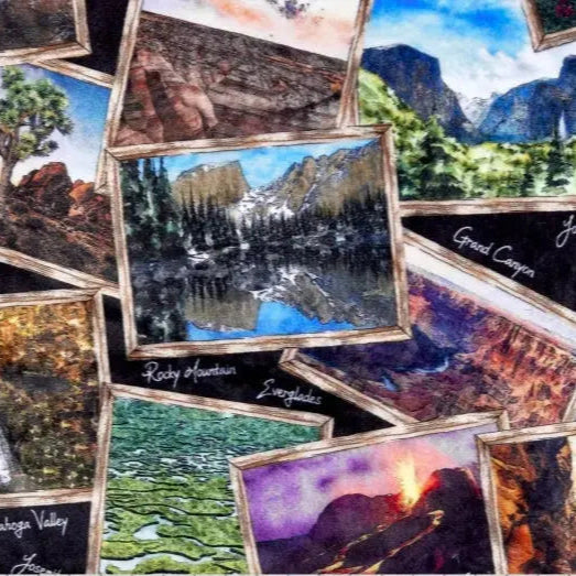 Multi Black National Parks Digital Cuddle Black Fabric per yard