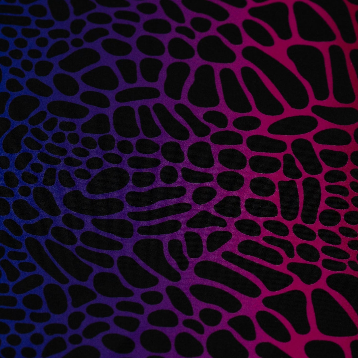 Multicolor Safari Spots Printed Spandex Fabric | Blue Moon Fabrics