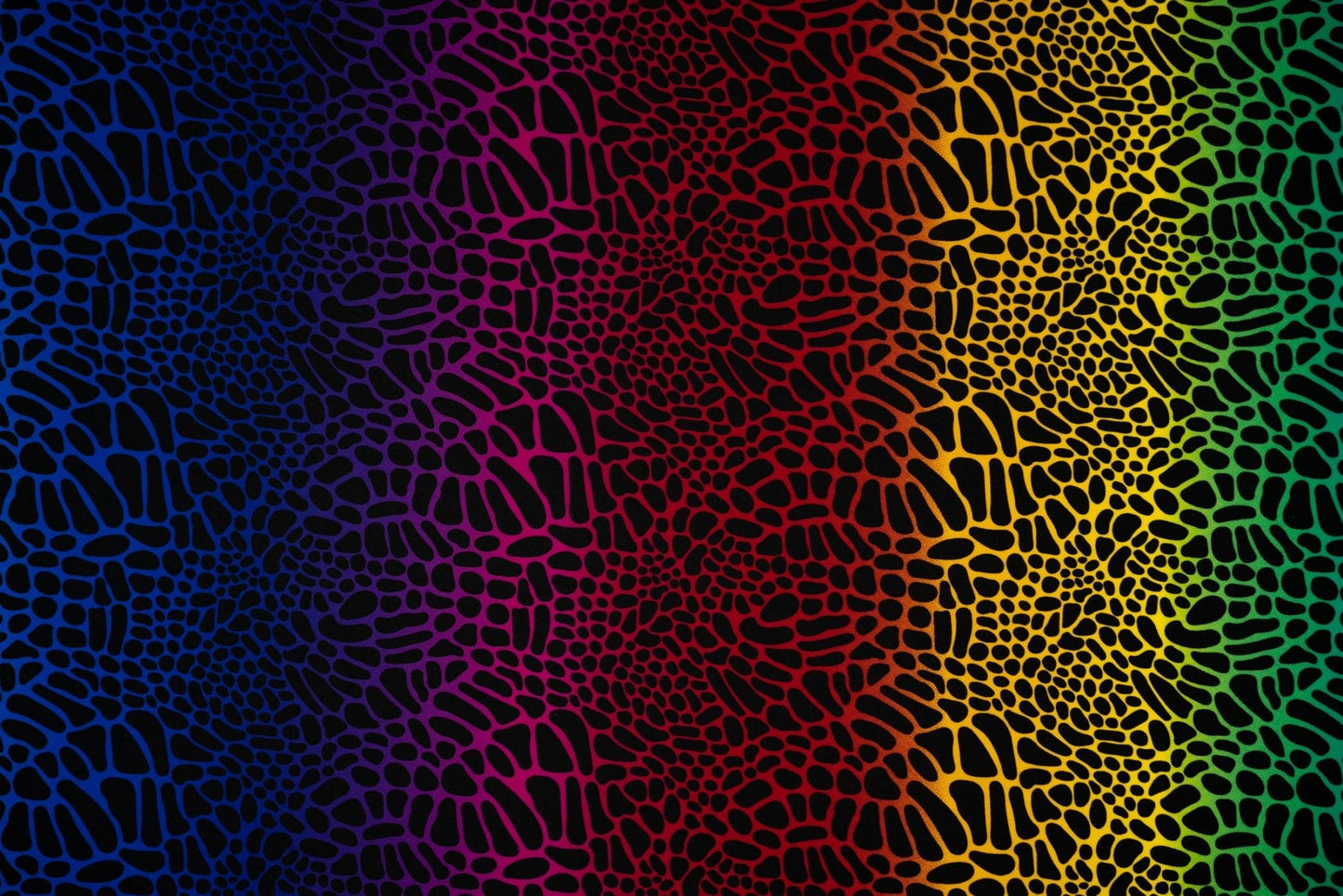 Multicolor Safari Spots Printed Spandex Fabric | Blue Moon Fabrics