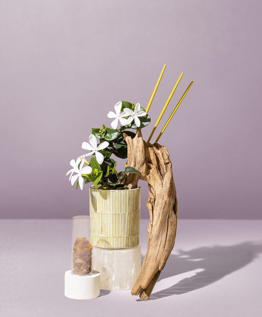 sandalwood incense & exotic amber™ fragrance oil